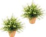 Bellatio Flowers & Plants 3x stuks kunstplant eucalyptus groen in pot 20 cm