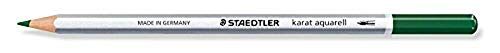 Staedtler 125-55 karaat aquarel kleurstift, waterschilderbaar, 6 stuks in kartonnen etui, groene aarde