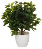 hjh OFFICE Kunstplant FICUS II Kunststof Groen