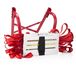Smartwares FOT-14100 Échelle de secours 11 m Aluminium/Rouge