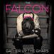 Sonic Rendezvous The Falcon - Gather Up the Chaps (CD)