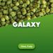 Houblon Galaxy en pellets - 1 kg
