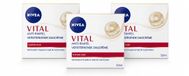 NIVEA VITAL Anti-Rimpel Dagcrème - Versterkende Gezichtsverzorging - 50 ml - Voordeelverpakking - 3 stuks