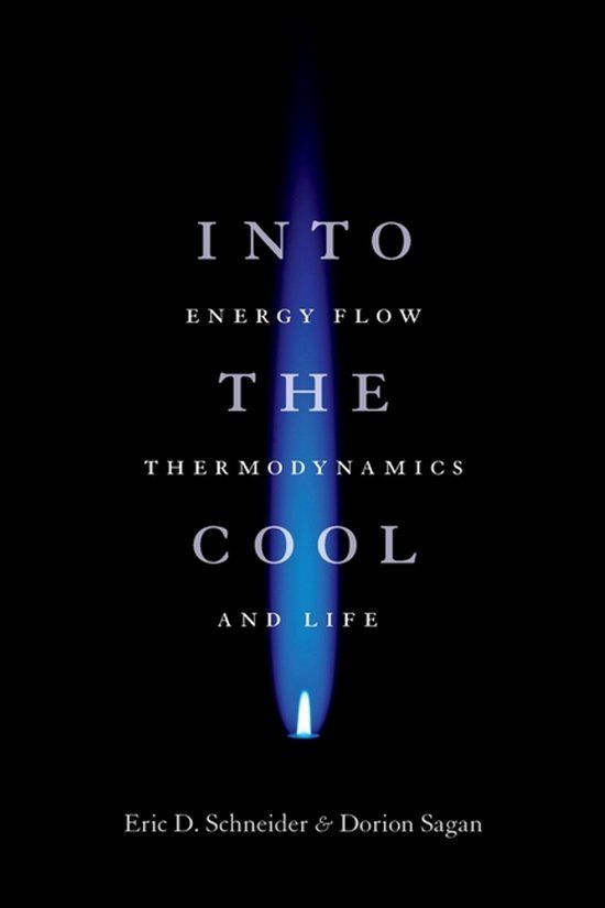 Into University of Chicago Press Into The Cool