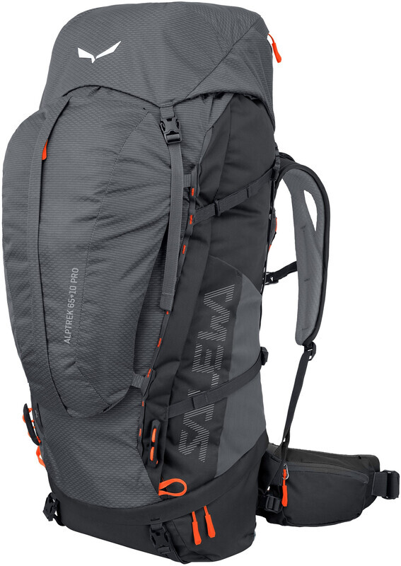 SALEWA ALPTREK 65 +10 PRO BP