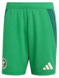 adidas Herren Heim Shorts IT2749
