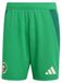 adidas Herren Heim Shorts IT2749