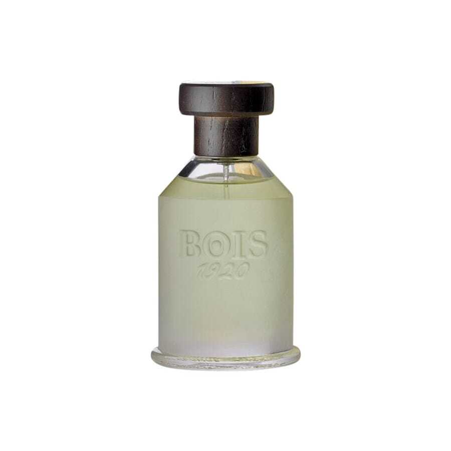 Bois 1920 Eau de Toilette male eau de parfum / 100 ml / unisex