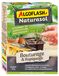 ALGOFLASH NATURASOL Bouturage & Repiquage, Enracinement Rapide, UAB, 20 g