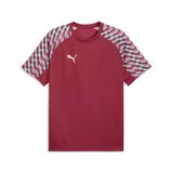 PUMA teamLIGA26 Jersey