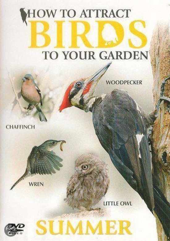 How Canny Minds Ltd How to Attract Birds - Summer