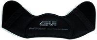 Givi Z1896R windscherm HX06