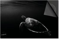 Dietrix Inductie Beschermer - 78x52cm - Zwart Schildpad