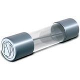 Püschel Feinsicherungen 130.000 5A G-zekering-insert (Ø x l) 5 mm x 30 mm 5 A 500 V