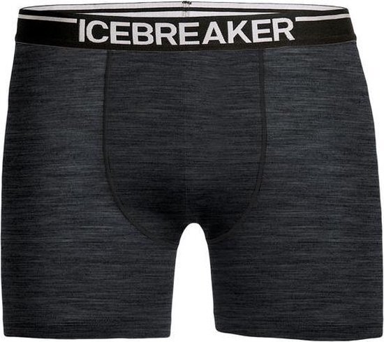 Icebreaker Anatomica Zwemboxers Heren, jet heather