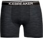 Icebreaker Anatomica Zwemboxers Heren - Grijs - Maat M