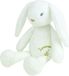 JEMINI Luminou Knuffel Konijn Glow in the Dark - ± 30 cm - Pluche