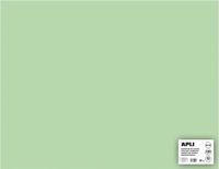 APLI 014260 Set 25 vellen karton 500 x 650 mm groen smaragd