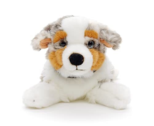 Uni-Toys - Australische herdershond met halsband, liggend - 40 cm (lengte) - pluche hond - pluche dier, knuffeldier