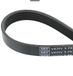 SKF Keilrippenriemen VKMV5PK1240