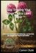 Stop Treating Your Clover Like a Lawn Crisis