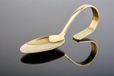 APS-Germany RVS amuselepel classic - gold-look