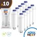 AguaNext 10x Filtres à eau pour Delonghi - pour Machines à café - filtres à eau pour Autentica, Magnifica et Dinamica - remplacement filtre à eau SER3017 DLSC002