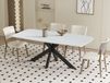 APOLIRI Table repas rectangulaire 180 cm gris baroque
