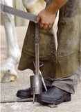 MOUNTAIN HORSE JODHPUR de protection Brun