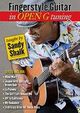 Sonic Rendezvous Sandy Shalk Fingerstyle Guitar In Open G Tuning (DVD)