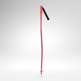 Rossignol Bâtons de ski alpin junior Hero Gs Sg