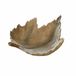 Loberon Decoratieve schaal Vibius beige