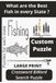 What Fishing 50 State Puzzles: Name Each State Fish