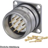 HUMMEL SET, inclusief connectoren M23, signaalapparaat, rechte krimpklem, aantal polen: 17, pen met