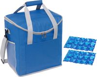 Merkloos Grote koeltas blauw met 2 stuks flexibele koelelementen 27 liter