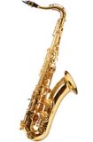 Yamaha YTS-PLU1II02 tenoraxofoon