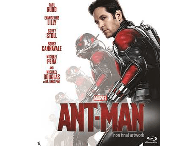 Buena Vista Ant Man