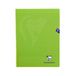 Clairefontaine 353311AMZC Mimesys Pak met 3 Geniete Notitieboekjes - 24x32 cm - 48 Pagina's Grote Ruit - 90 g - Polypro Omslag - Kleur Groen