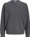 JACK & JONES JJEARCHIVE GRAPHIC SWEAT CREW NECK NOOS Heren Trui
