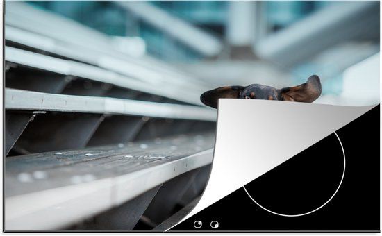 KitchenYeah® Inductie beschermer 77x51 cm - Hond rennend over tribune - Inductie kookplaat accessoire