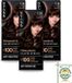 SYOSS 3 x Coloration 3-28 Pure Chocolade Coloration pour cheveux
