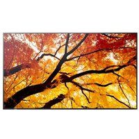 Sharp MultiSync PN-M652 - 65" LED LCD Display - Digital Signage - 4K UHD