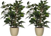 Mica Decorations 2x stuks groene ficus kunstplant 40 cm met plantenpot parelgoud D13.5 en H12.5 cm