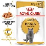 ROYAL CANIN British Shorthair Adult 12x85 g