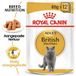 ROYAL CANIN British Shorthair Adult 12x85 g