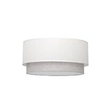 Levitantes Verlichting, afbeelding