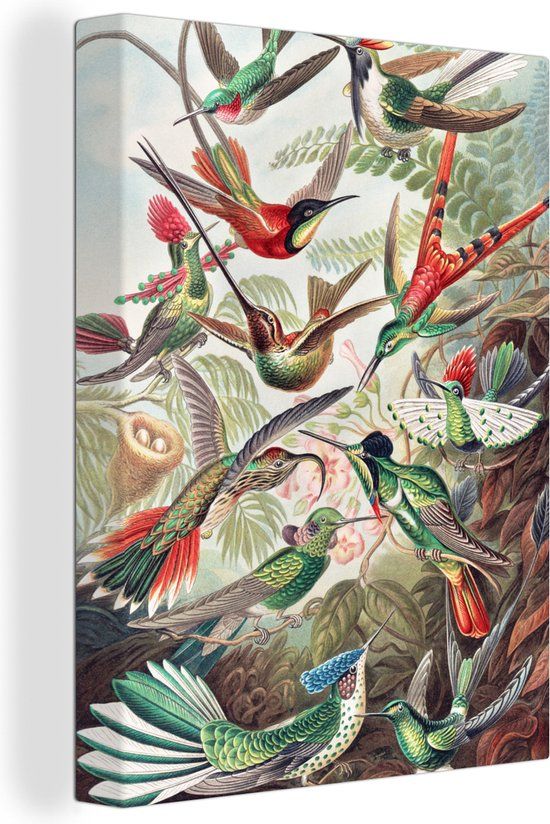 OneMillionCanvasses Canvas Schilderij - Kolibrie - Vogels - Natuur - 120x160 cm