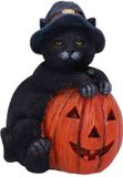 Nemesis Now Trick or Treat 13cm Beeld/figuur