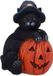 Nemesis Now Trick or Treat 13cm Beeld/figuur