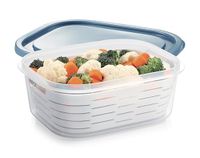 Tescoma 896942 Vriescontainer met ijsmand 4FOOD 2.0 L